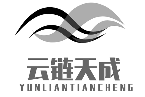 信息系统集成服务的行业洞察与发展趋势