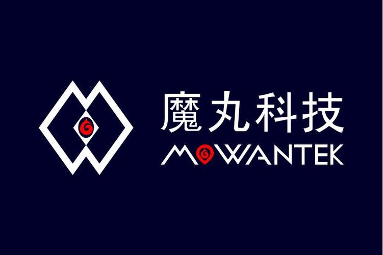 合肥魔丸科技 引领信息系统集成服务新风向